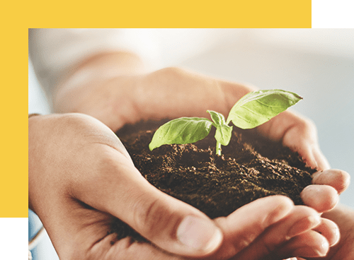 Wysoka energooszczędność