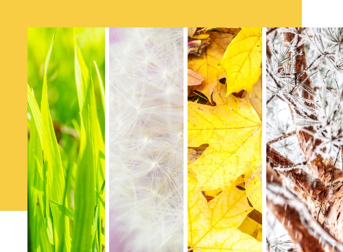 Całoroczne użytkowanie