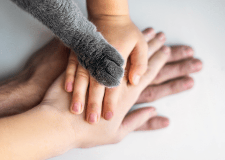 Dbałość o podstawowe potrzeby