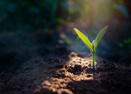 Zwiększona wydajność