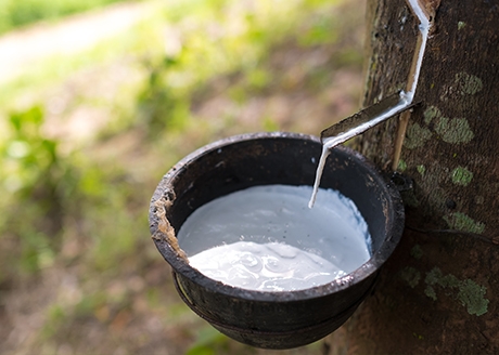 Klej na bazie kauczuku