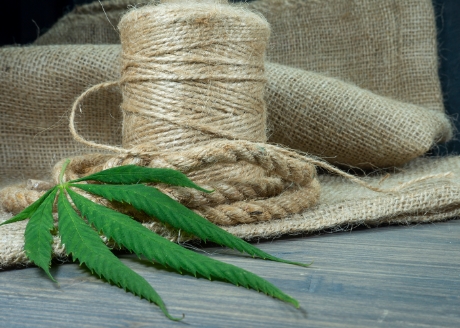 Odporne włókno konopne