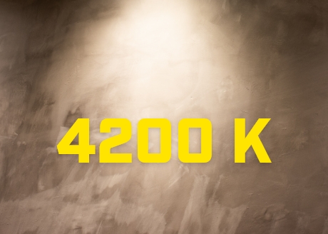 Neutralna barwa światła