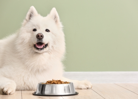 Właściwości hydrofobowe