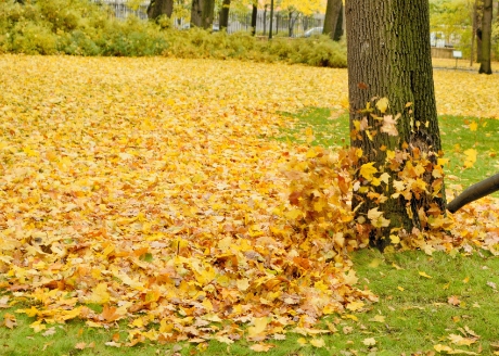 Regulacja prędkości nadmuchu