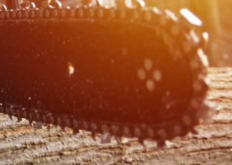 Ilość zębów tnących