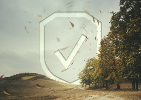 Wytrzymałość na wiatr