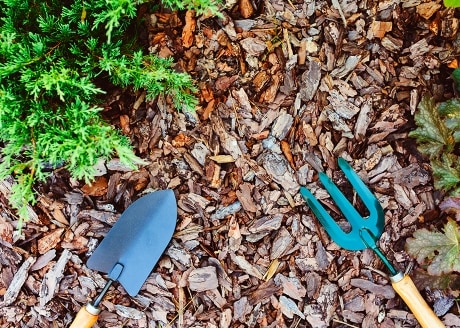 Długi czas rozkładu