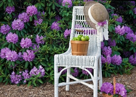 Ekologiczna posypka dekoracyjna