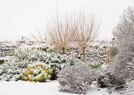 Zmniejsza wahania temperatury gleby