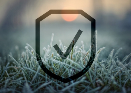 Bezpieczne przezimowanie i większa odporność