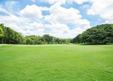 Ekonomiczne rozwiązanie