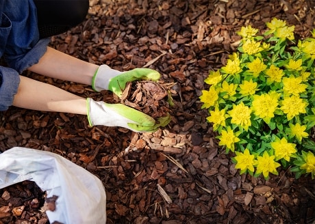 Ogranicza wzrost chwastów