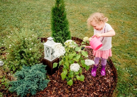 Zapewnia utrzymanie właściwej wilgotności podłoża