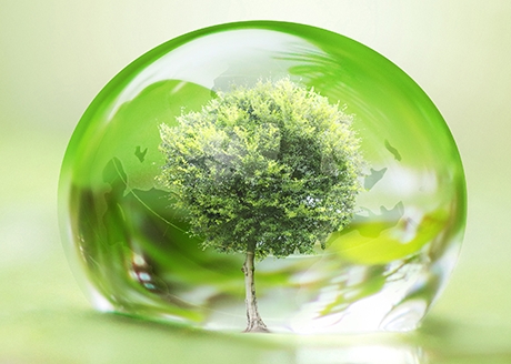 Tworzy warstwę ochronną na roślinie