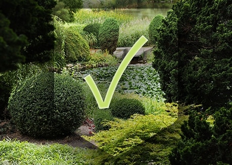 Zwiększa choroboodporność roślin