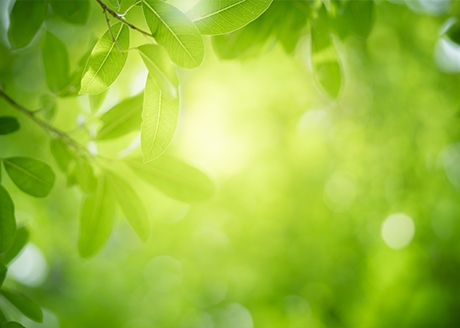 Składniki pochodzenia naturalnego