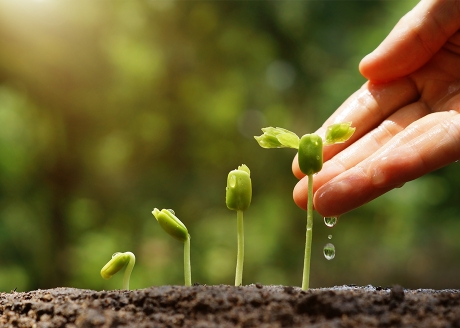 Zapewnia właściwy wzrost roślin