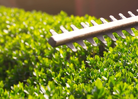 Ilość aktywnych noży