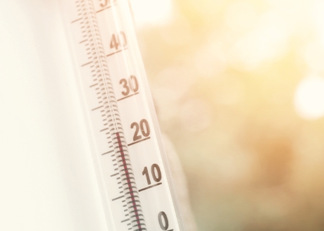 Maksymalna temperatura