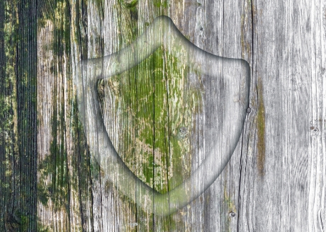 Zabezpieczenie przed grzybami pleśniowymi