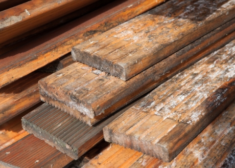 Zabezpiecza przed grzybami wywołującymi siniznę i głęboki rozkład drewna