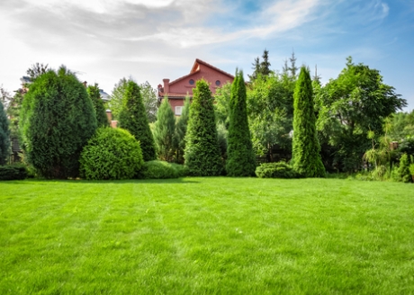 Optymalna wydajność