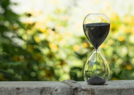 Szybko przenika do gleby