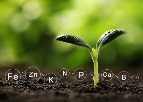 Optymalna kompozycja składników