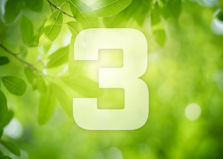 3-elementowy komplet mebli