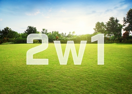 2w1