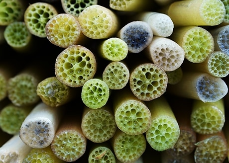 Preparat działa układowo