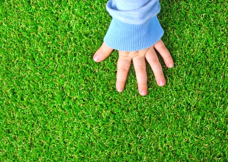 Tworzy gęstą darń