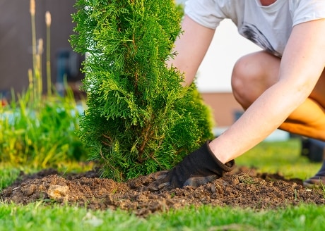 Przeznaczona do uprawy większości roślin