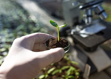 Zbilansowana mieszanka