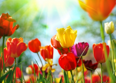 Stolik z kwietnikiem