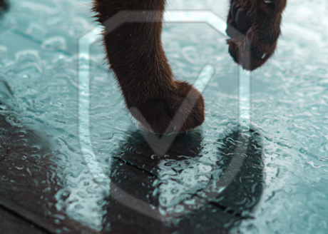 Antypoślizgowa konstrukcja