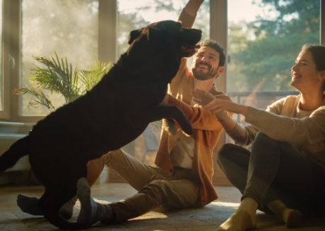 Zabawka, z którą nie ma nudy