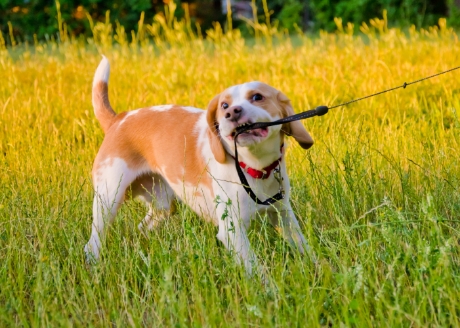 Zabezpieczenie przed korozją