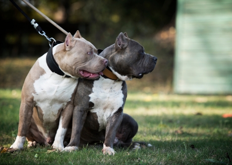 Wysokiej klasy materiały