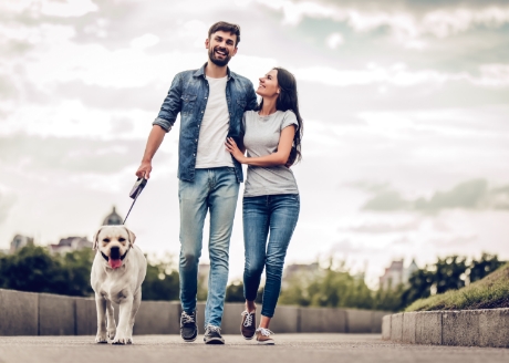 Aby wygodnie podróżować z czworonogiem