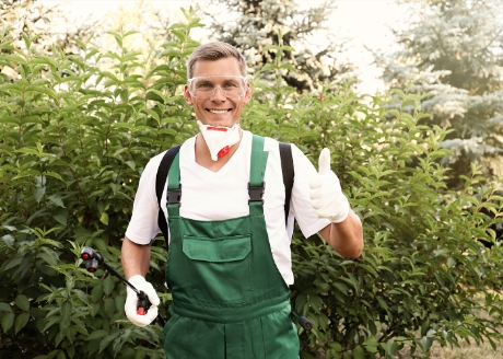 Zwalcza większość popularnych szkodników