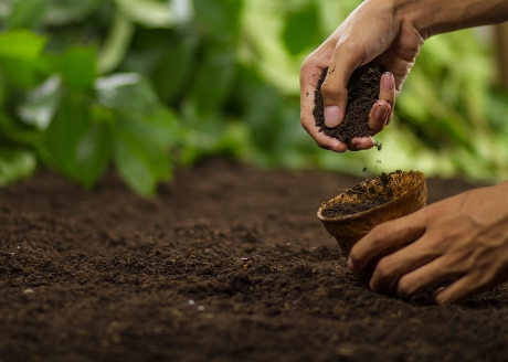 Użyźnia glebę
