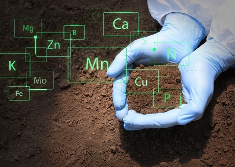 Wysoka zawartość pierwiastków