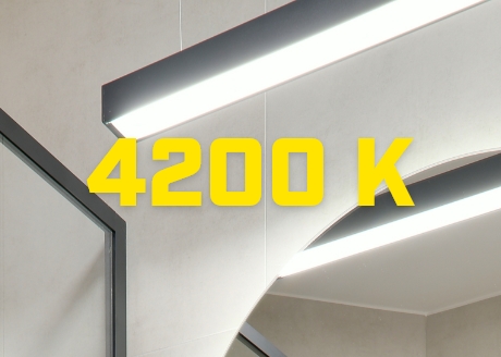 Neutralna barwa światła