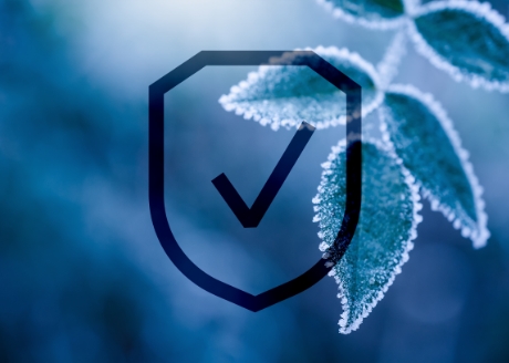 Zwiększa mrozoodporność roślin