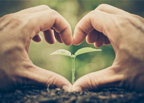 Bezpieczny dla roślin