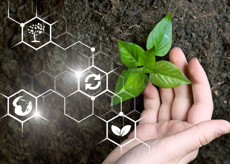 Przywraca glebie równowagę biologiczną