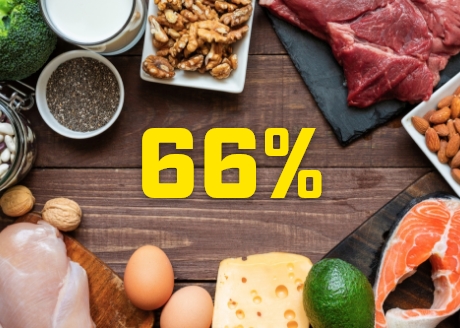 Wysoka zawartość białka 66%