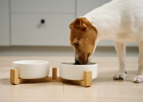 Zbilansowany posiłek